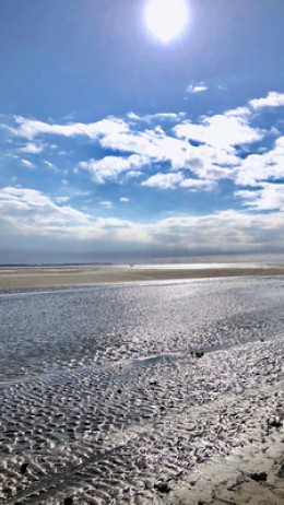 Images for Baie de Somme, Somme