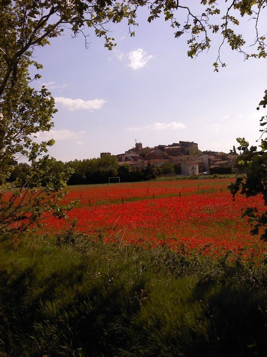 Images for Long Term Rentals in France, Pouzols Minervois, Aude EAID: BID:homefromhome